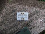image of grave number 429255